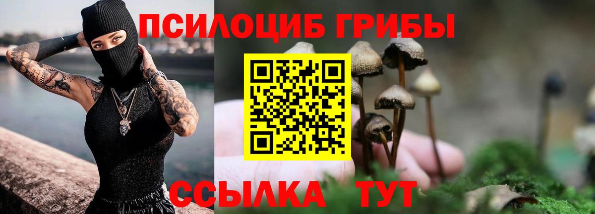 Мариинск  Псилоцибиновые грибы мицелий  Вход с VPN 